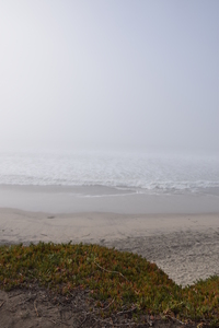 Half Moon Bay